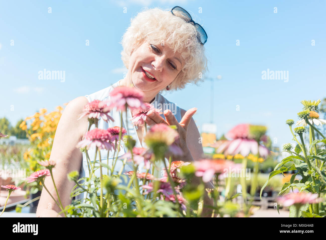 Portrait of a serene senior woman standing in the garden in a su Stock Photo