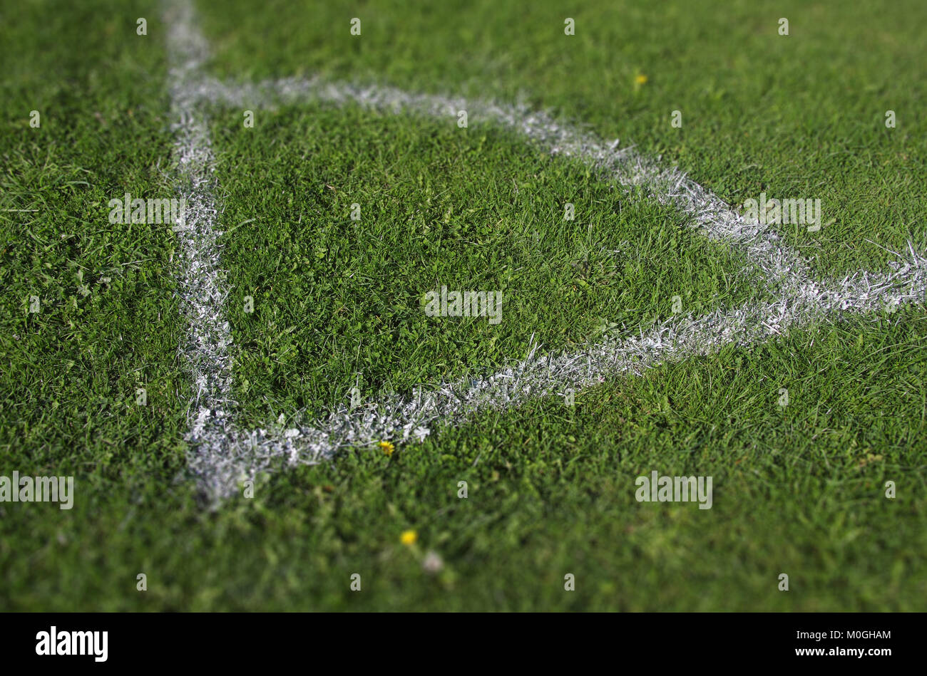 White painted lines on a football pitch Stock Photo Alamy