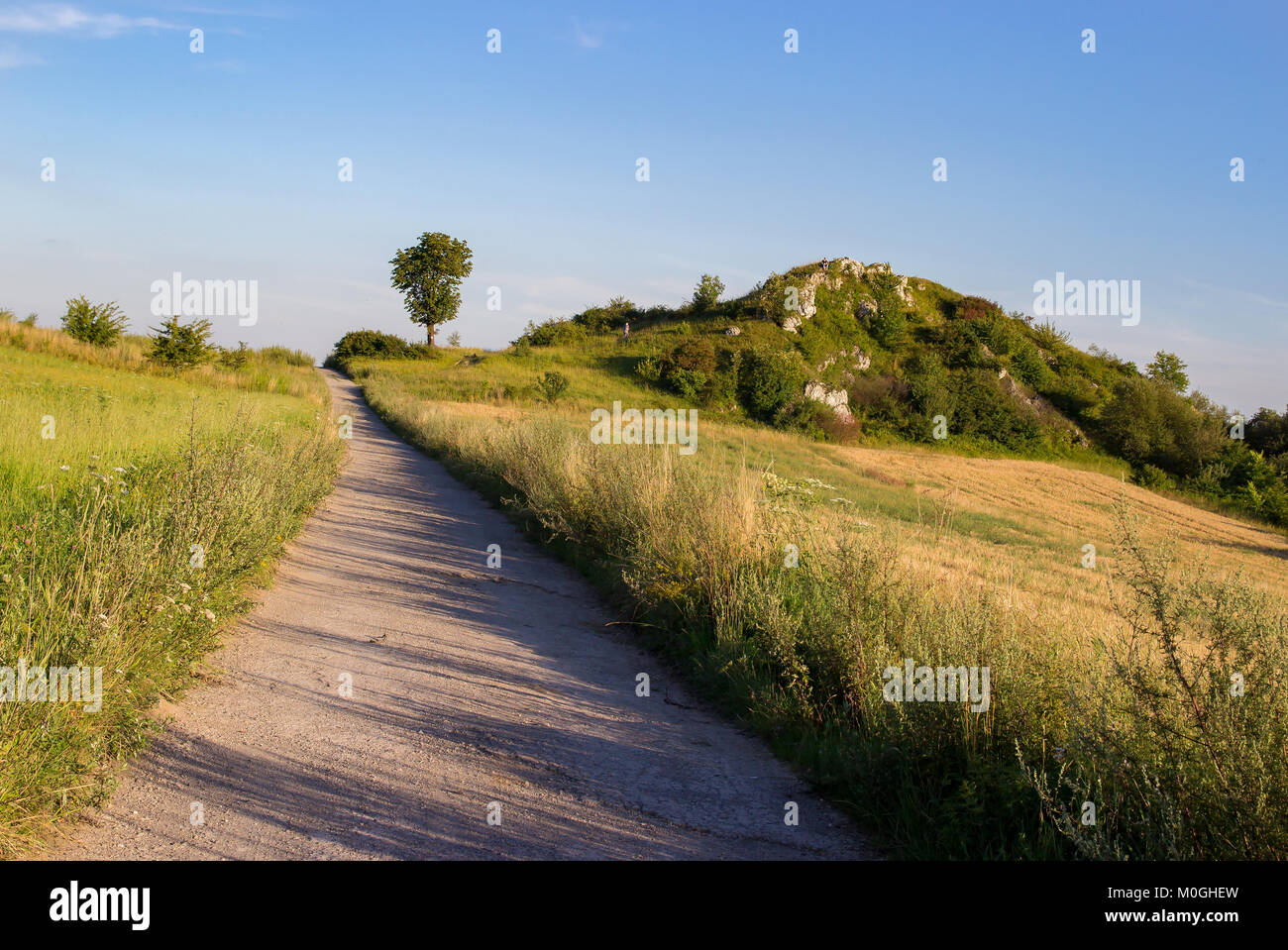Rural landscape with a road Stock Photo - Alamy