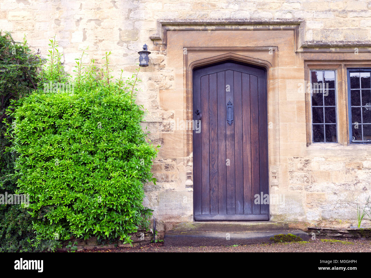 Dark brown wooden doors in an old traditional English lime stone house with evergreen shrubs on the side . Stock Photo