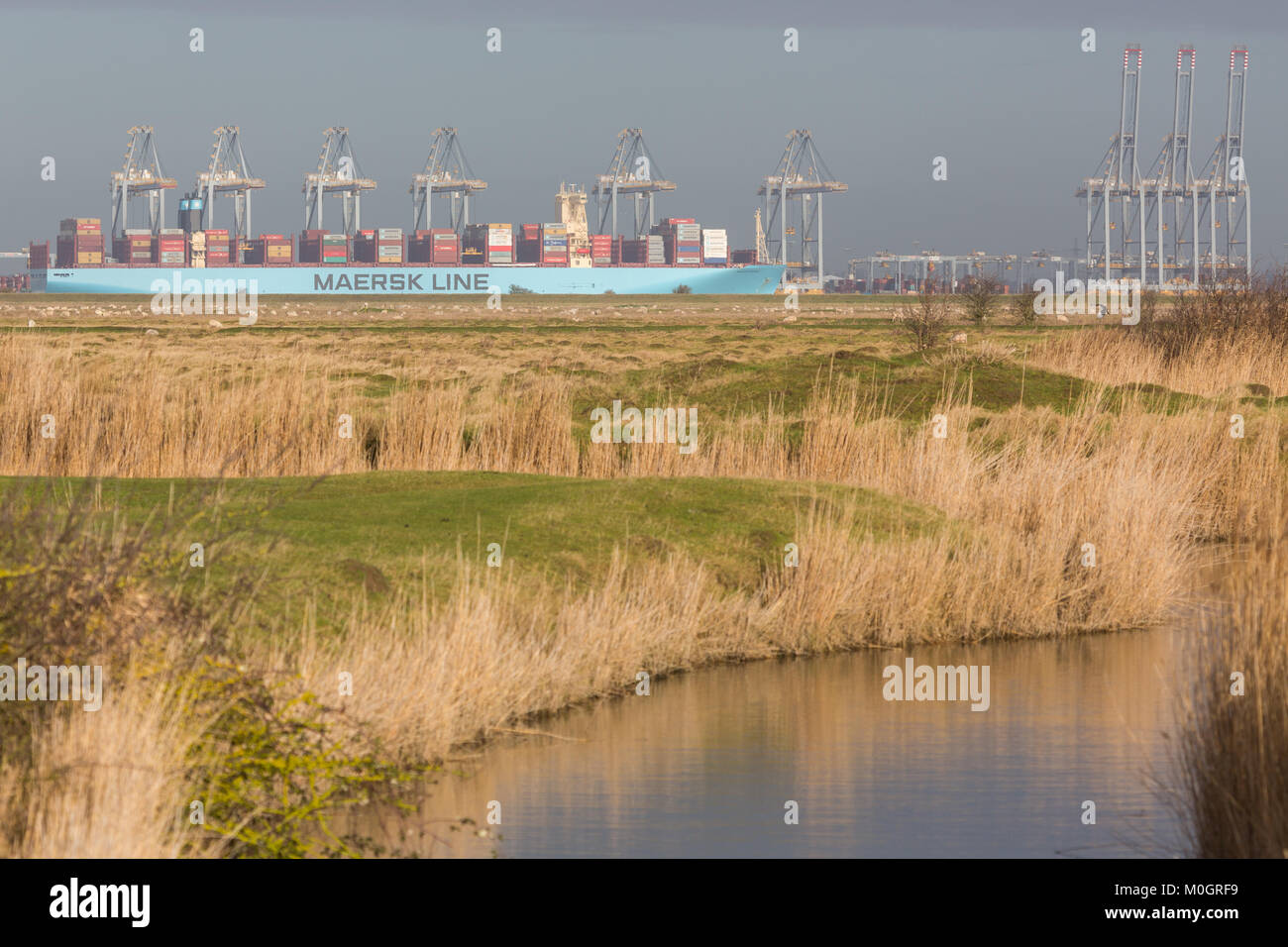 Cliffe, Kent, United Kingdom. 22nd Jan, 2018. Monaco Maersk - one of the largest container ships in the world - pictured today at London Gateway container port in Essex. The 399 metre long ship is on her maiden visit to Europe and is pictured from across the River Thames in the Cliffe Marshes on the Hoo Peninsula. Credit: Rob Powell/Alamy Live News Stock Photo