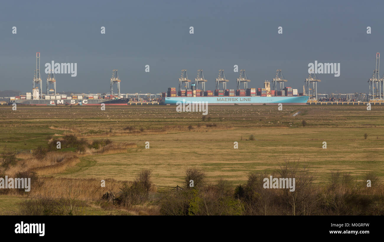 Cliffe, Kent, United Kingdom. 22nd Jan, 2018. Monaco Maersk - one of the largest container ships in the world - pictured today at London Gateway container port in Essex. The 399 metre long ship is on her maiden visit to Europe and is pictured from across the River Thames in the Cliffe Marshes on the Hoo Peninsula. Credit: Rob Powell/Alamy Live News Stock Photo