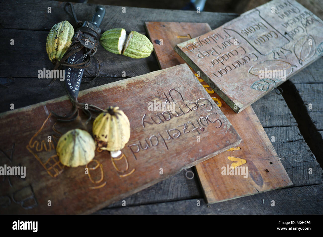 December 13, 2017 - Cacao fruit and a machete Credit: Credit: /ZUMA Wire/Alamy Live News Stock Photo