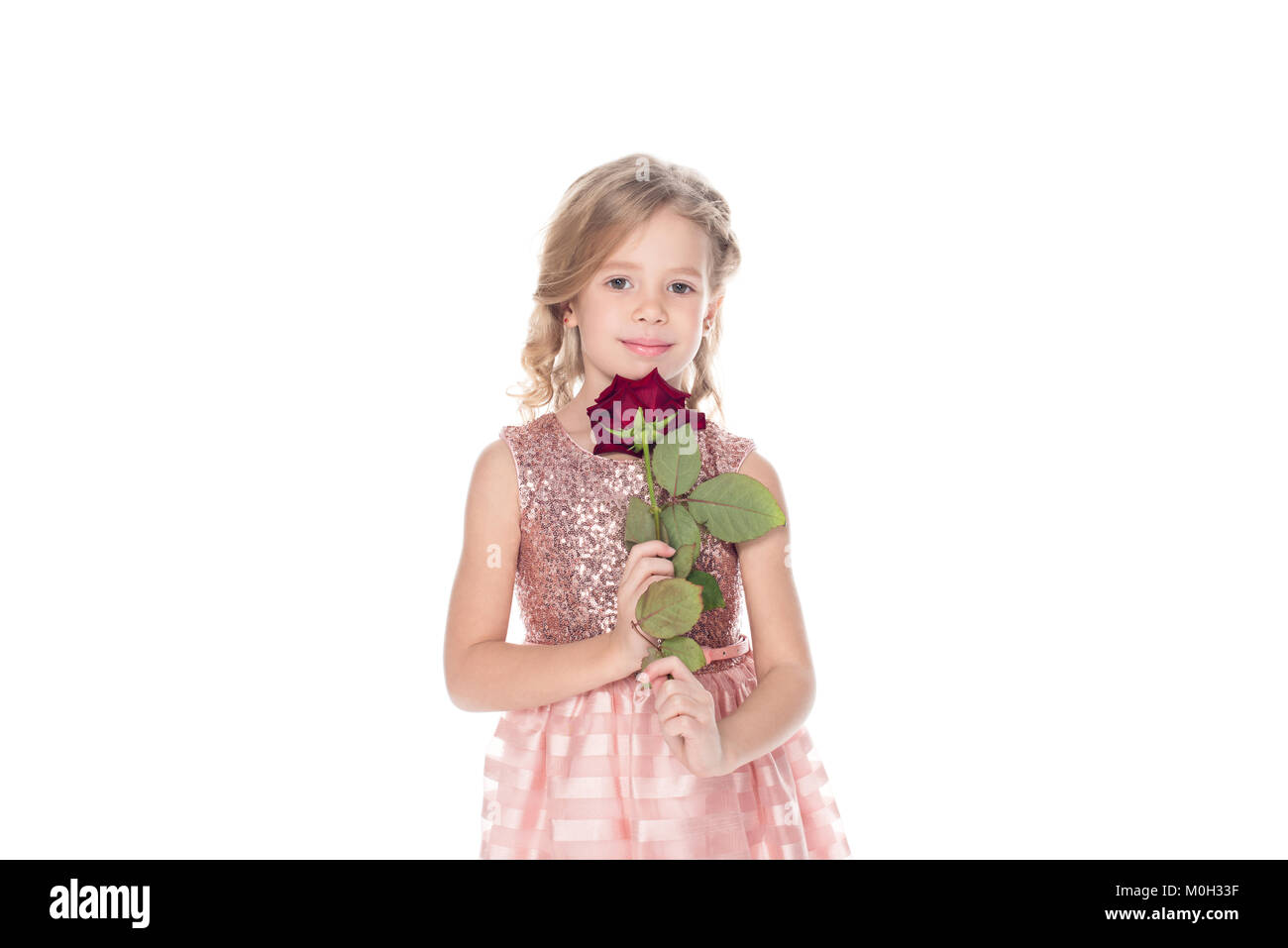 beautiful little child in pink dress holding red rose flower and looking at camera isolated on white Stock Photo