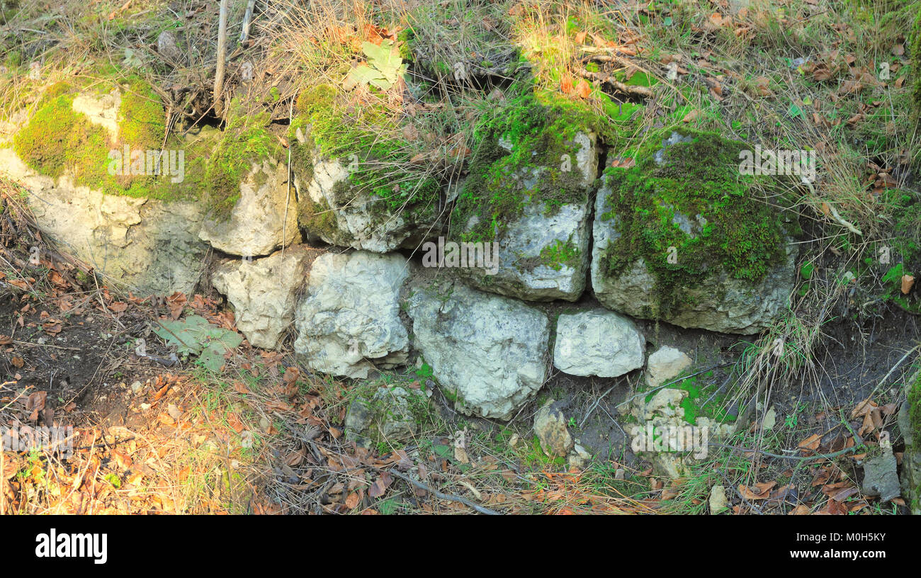 Burgstall Altes Schloss (Düsselbach)01 Stock Photo Alamy