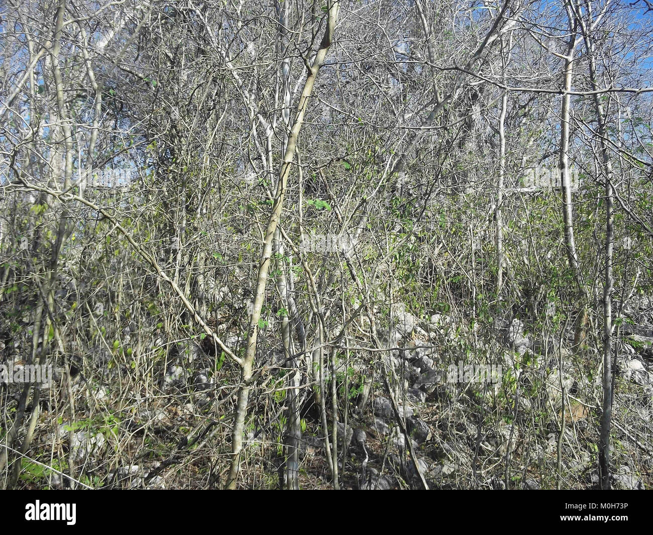 Calotmul (Yaxkukul), Yucatán (06 Stock Photo Alamy