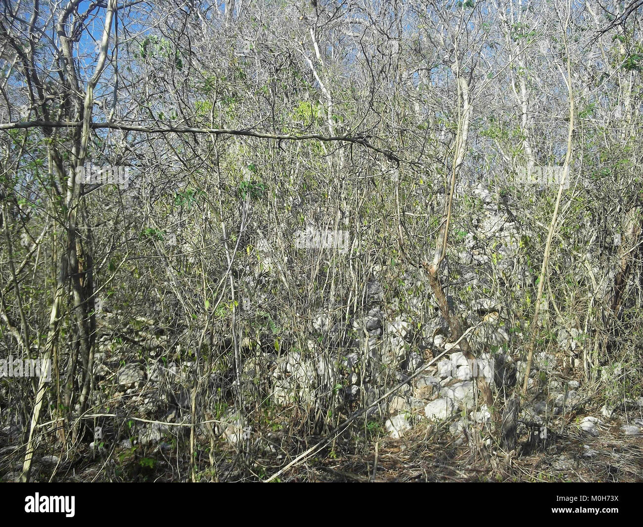 Calotmul (Yaxkukul), Yucatán (11 Stock Photo Alamy