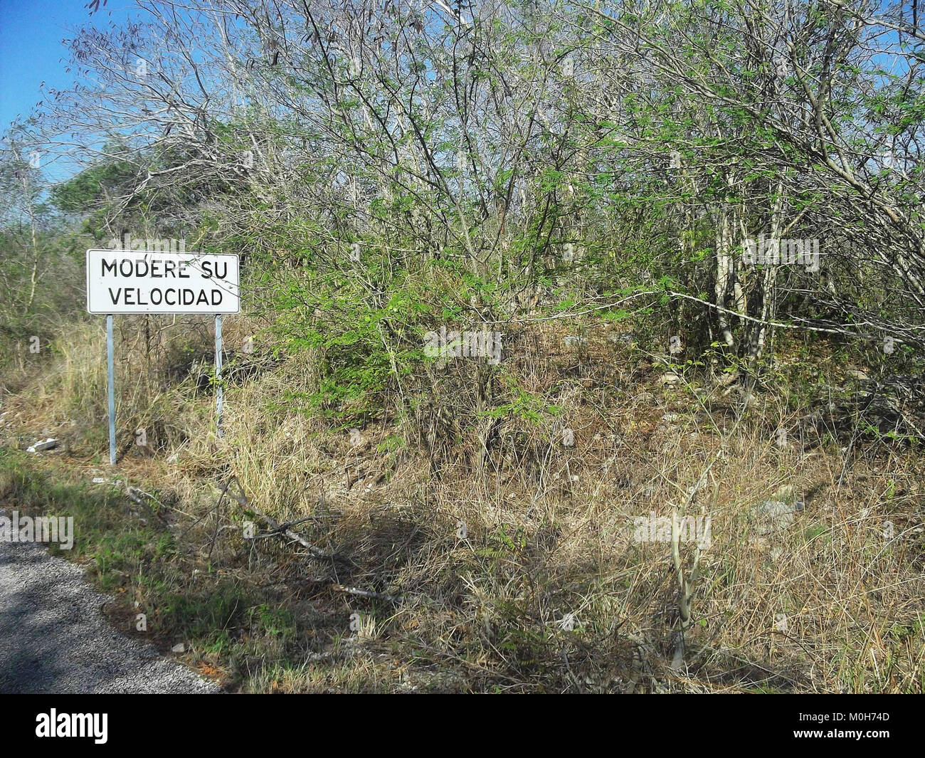 yucatan 20