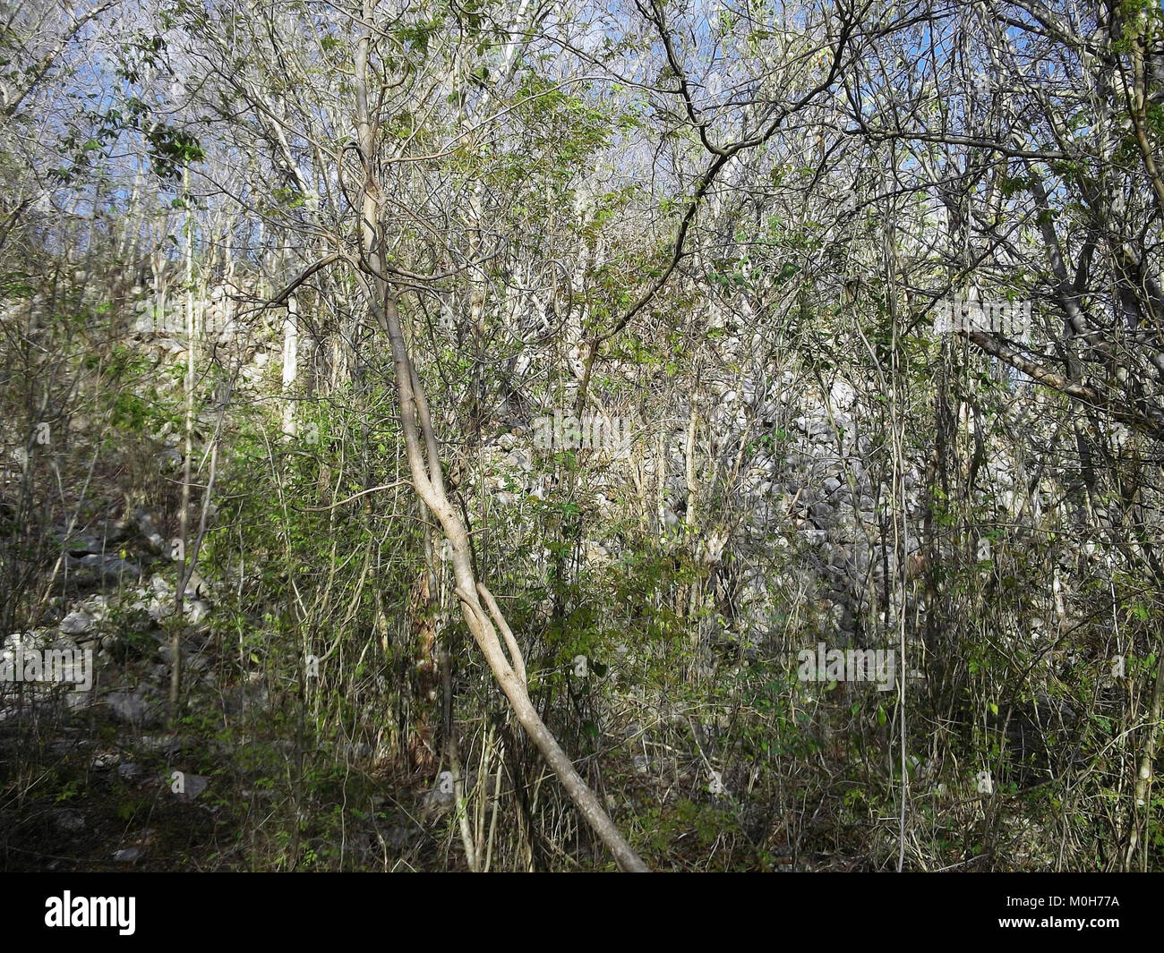 Calotmul (Yaxkukul), Yucatán (31 Stock Photo Alamy