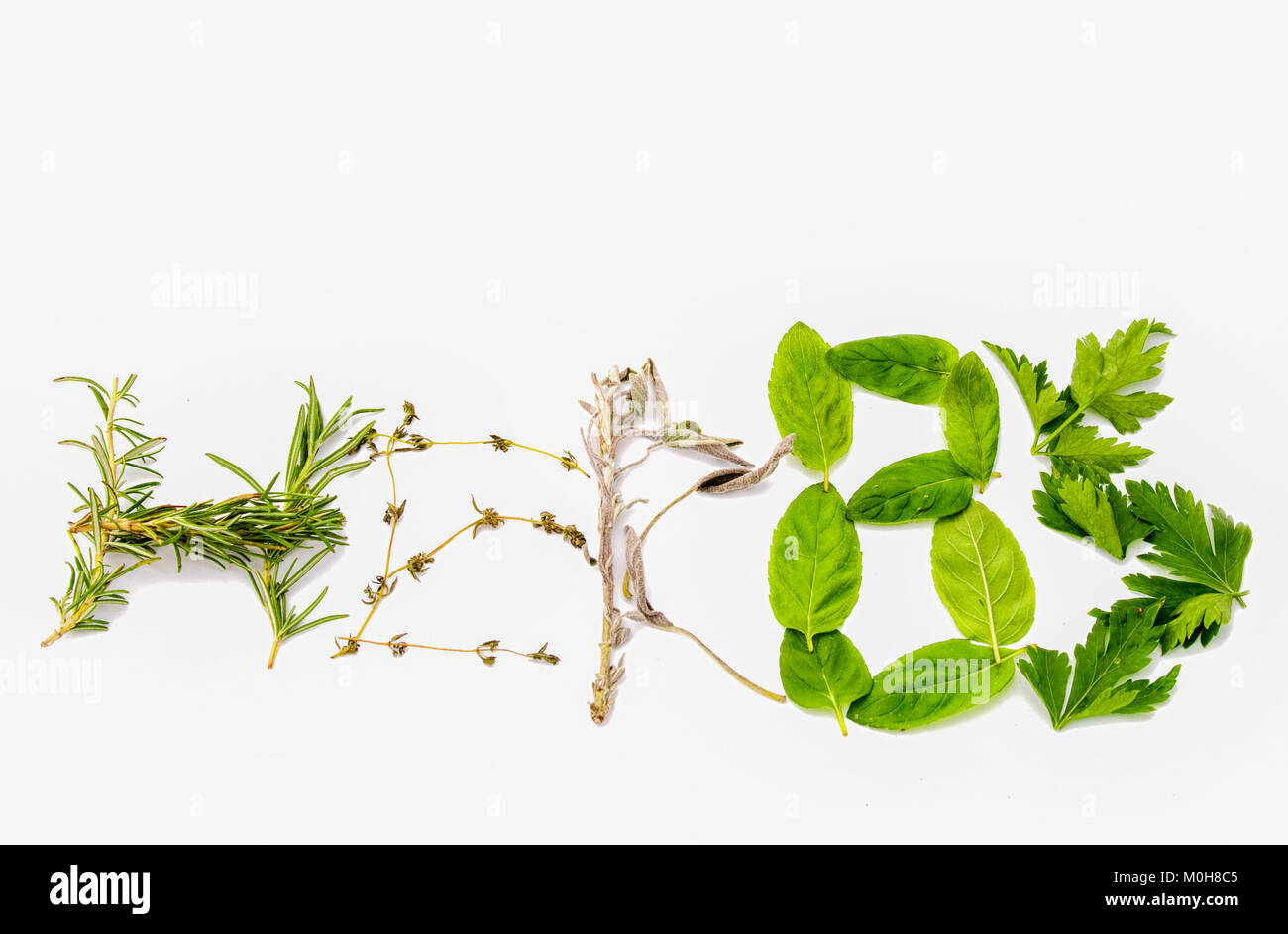 The word 'herbs' made of different herbs. Rosemary, thyme, sage, basil and parsley Stock Photo