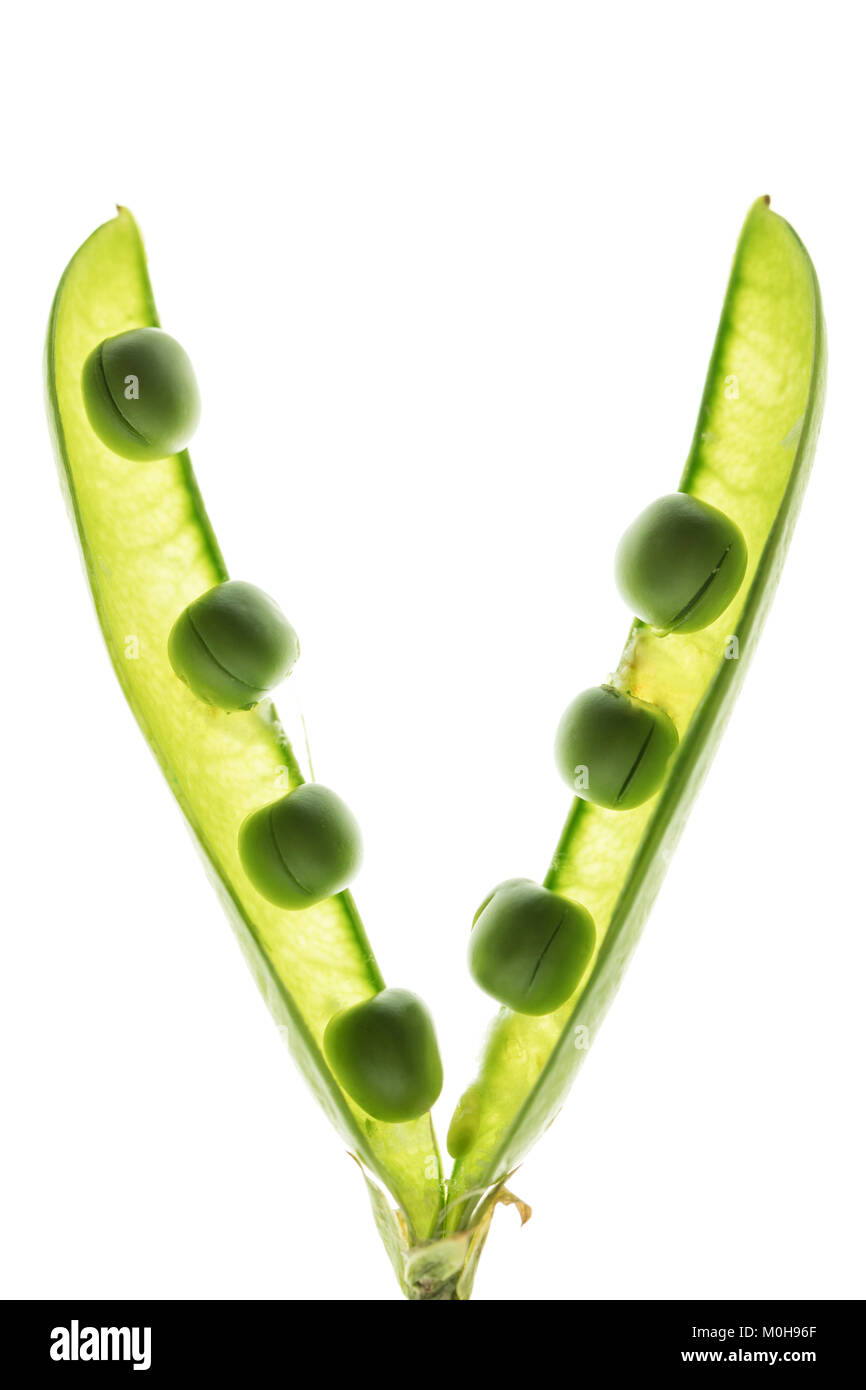 healthy split pea pod Stock Photo Alamy