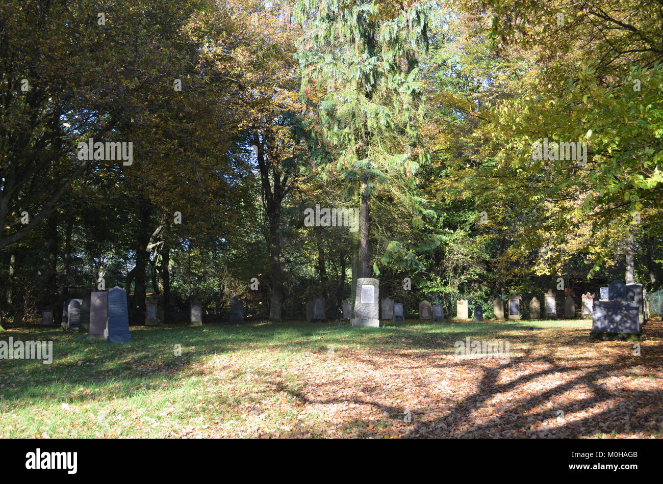 Burgholzhausen, jüdischer Friedhof Stock Photo