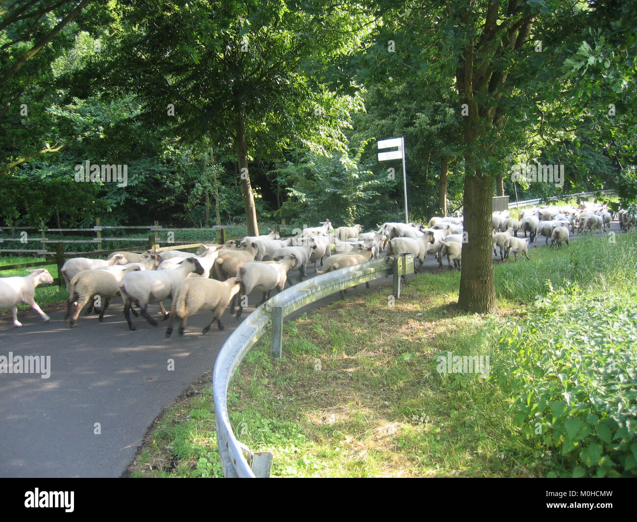 Bünde, Bruchmühlen, Kilver Juni 2009 034 Stock Photo Alamy
