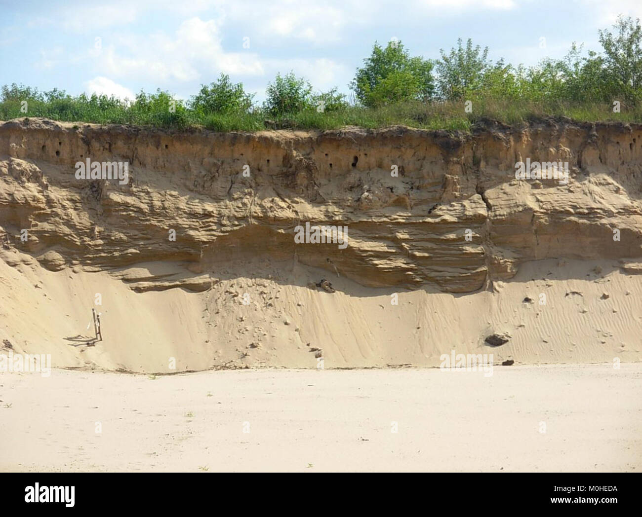 Soil profile cross section hi-res stock photography and images - Alamy