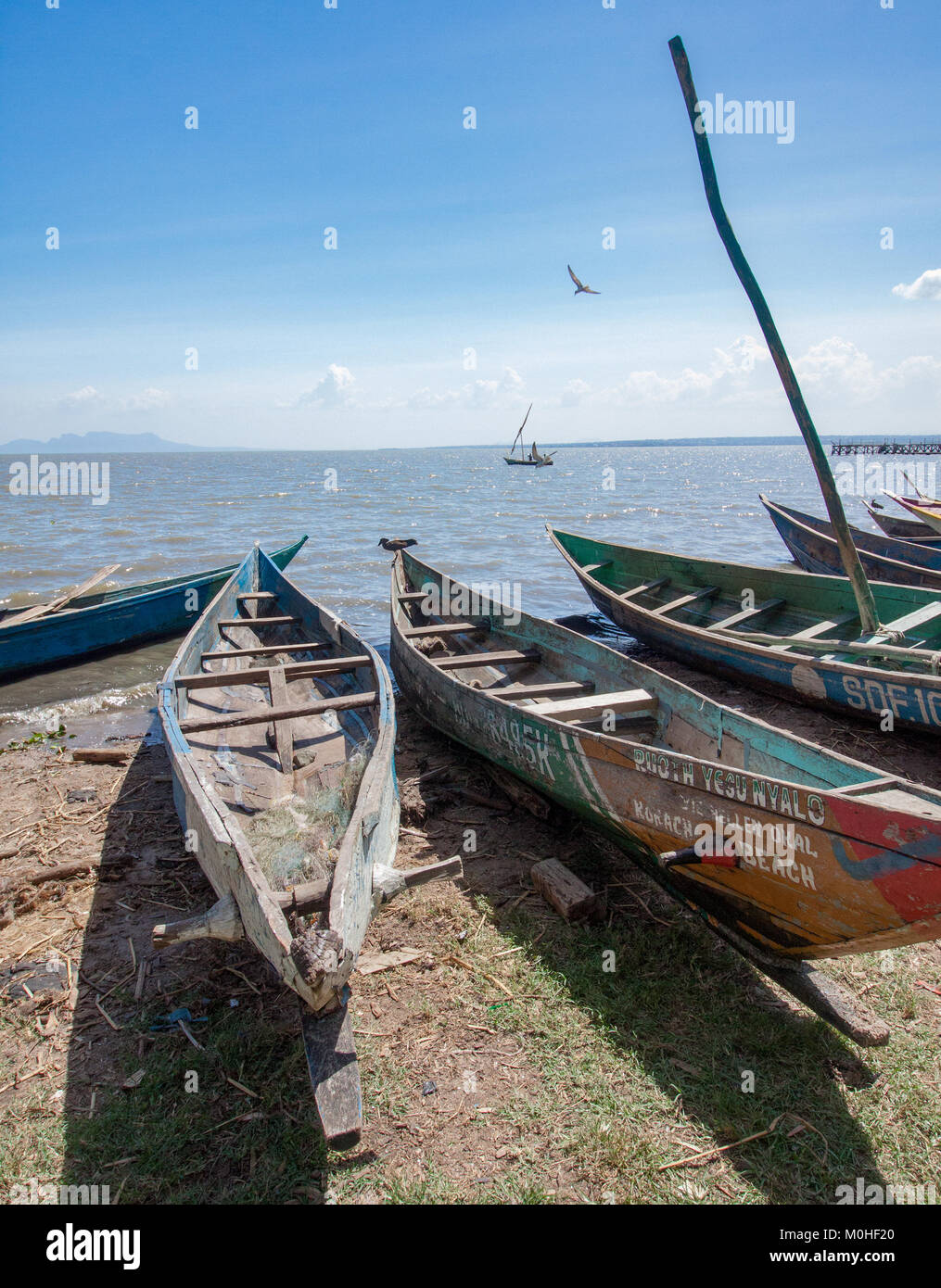 Wooden fishing canoes at the shore of Lake Victoria Stock Photo Alamy