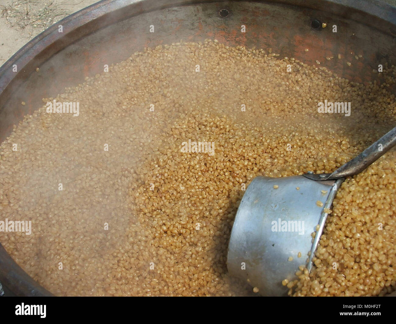Bulgur yapımı is the traditional Turkish method of producing bulgur ...