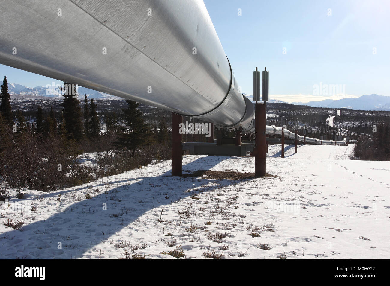 The Trans-Alaska Pipeline System along the Richardson Highway in Alaska. the pipeline moves crude oil from Prudhoe Bay to Valdez. Stock Photo