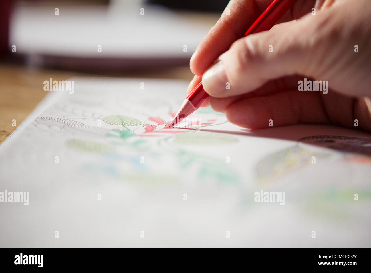 Adult using pencil in an adult colouring book Stock Photo
