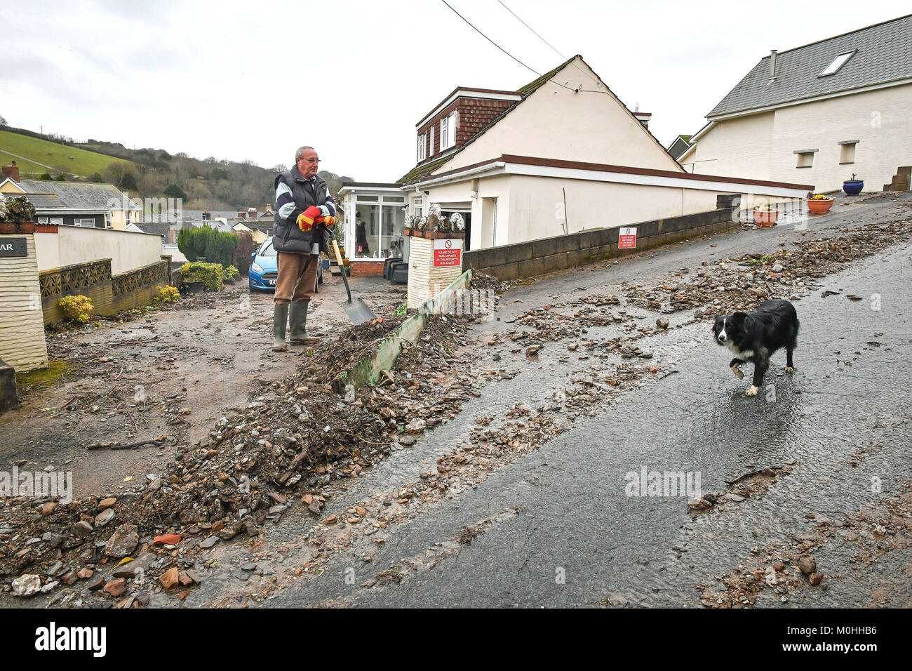 A dog walks past Paul Davis as he shovels debris from his driveway on
