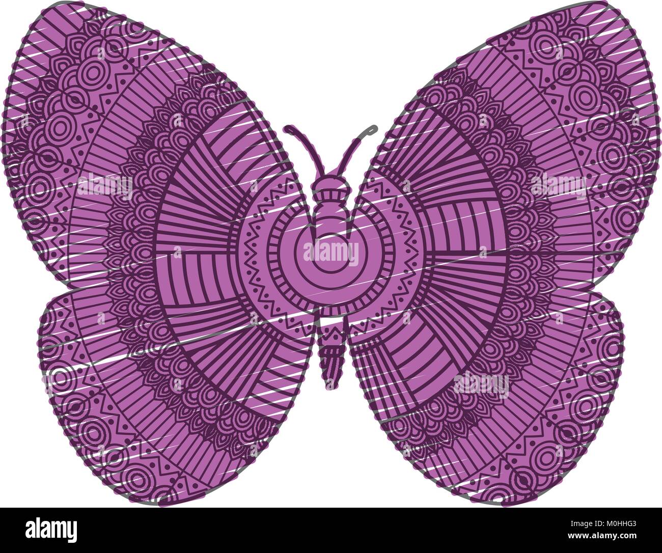 Mandala zentangle butterfly Cut Out Stock Images & Pictures