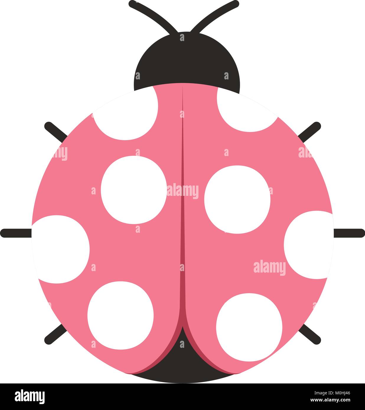 ladybug insect small icon animal Stock Vector Image & Art - Alamy