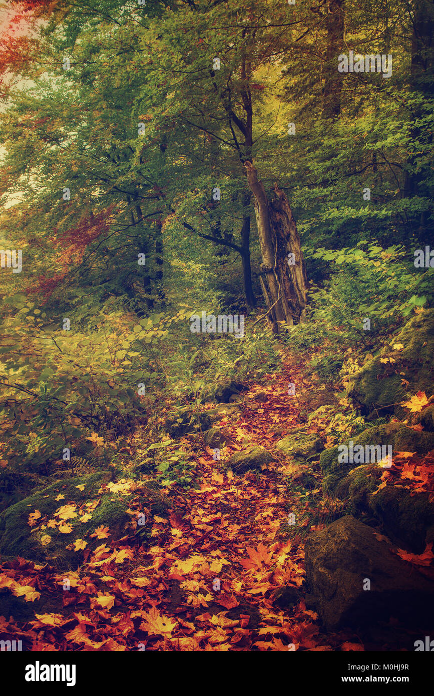 Beautiful autumn landscape Stock Photo - Alamy