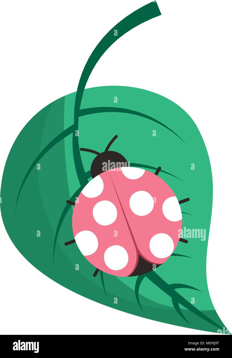 ladybug on leaf spring time Stock Vector Image & Art - Alamy