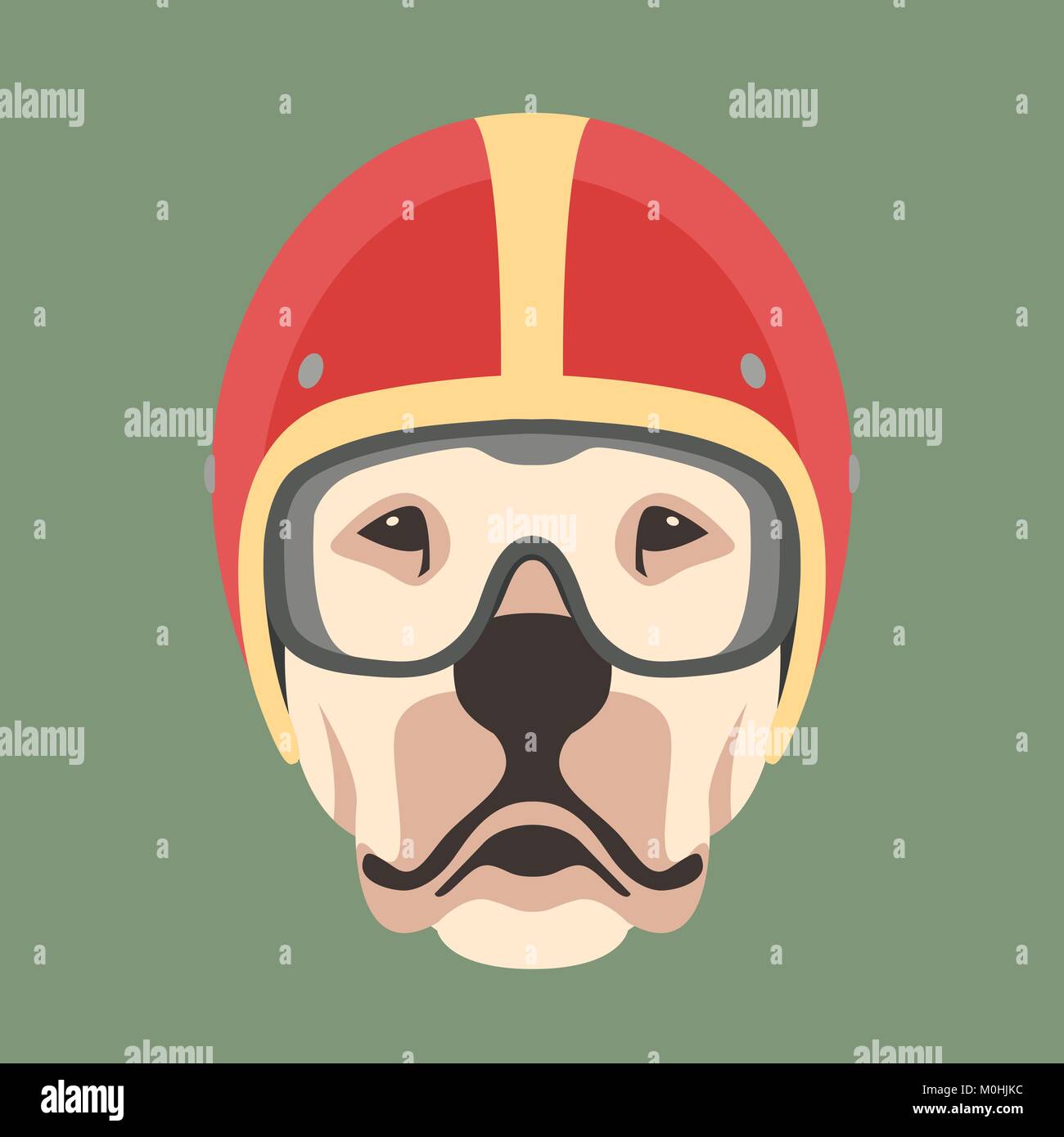 dog face helmet