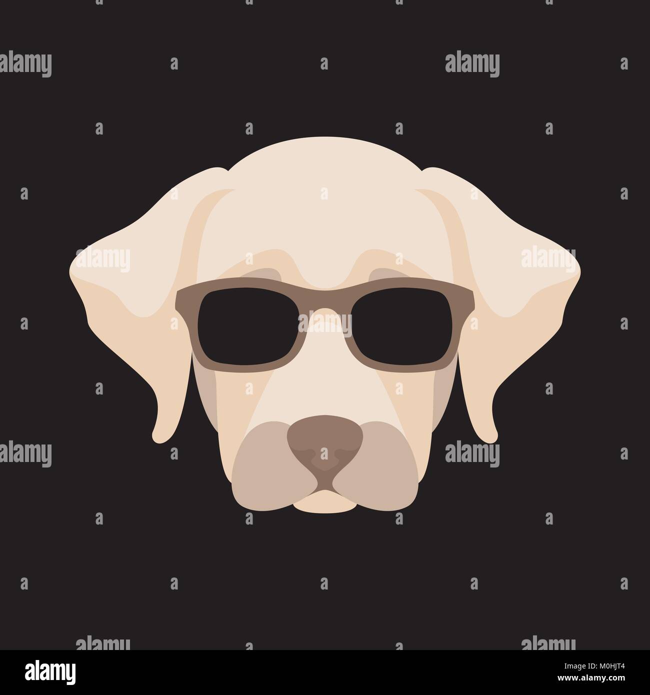 flat face sunglasses