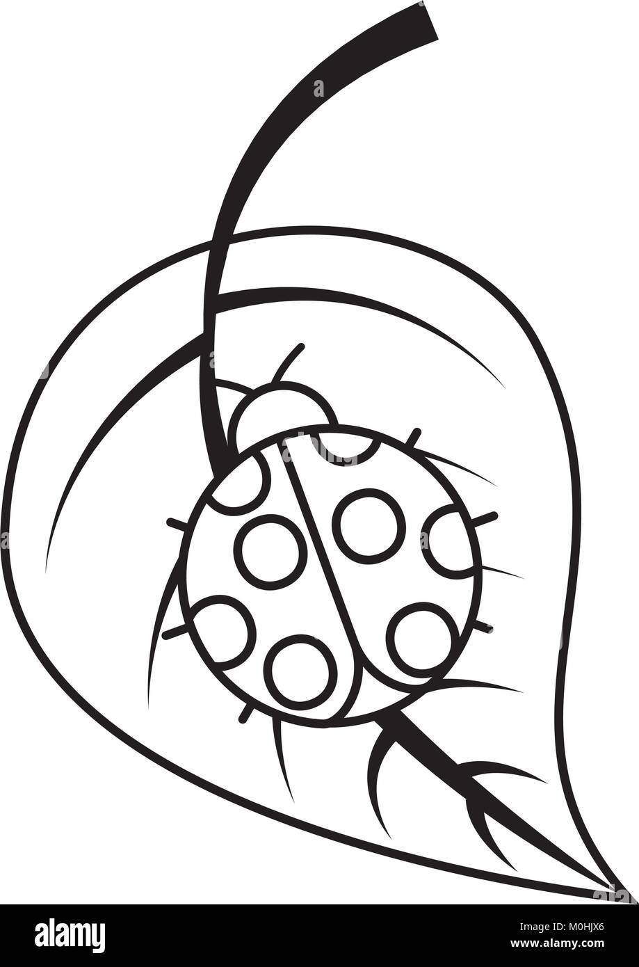 ladybug on leaf spring time Stock Vector Image & Art - Alamy