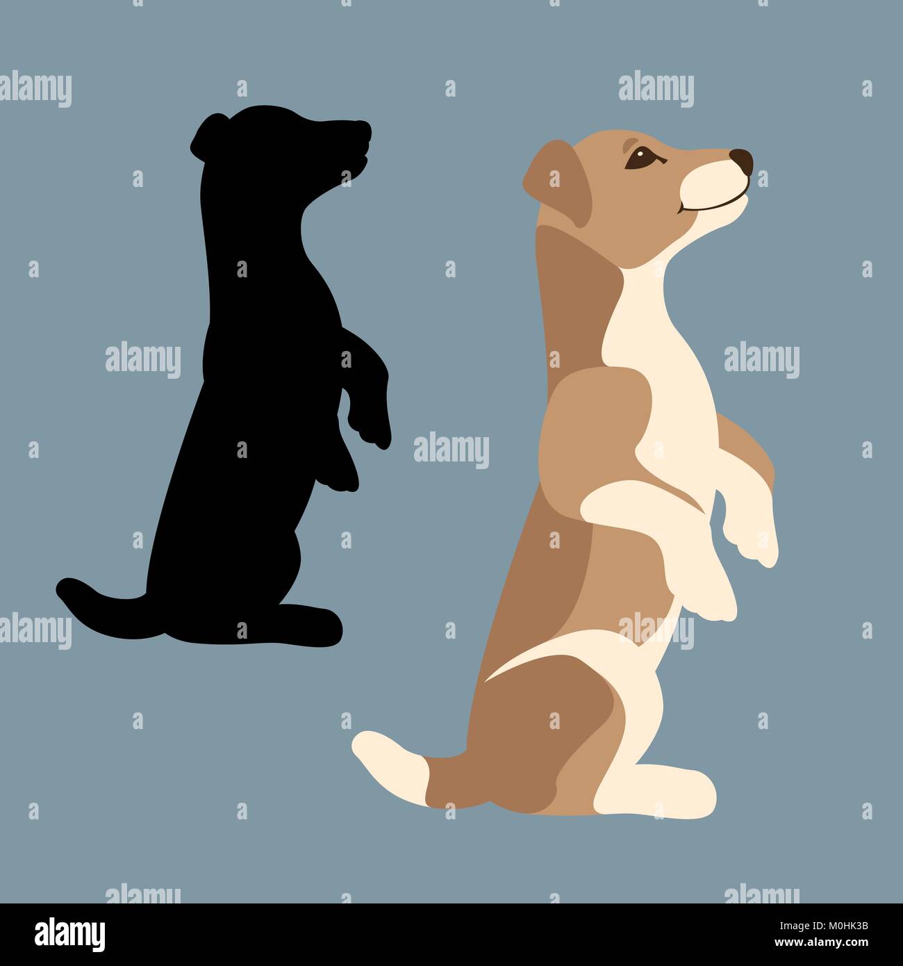 jack russell terrier puppy vector illustration flat style Stock Vector ...