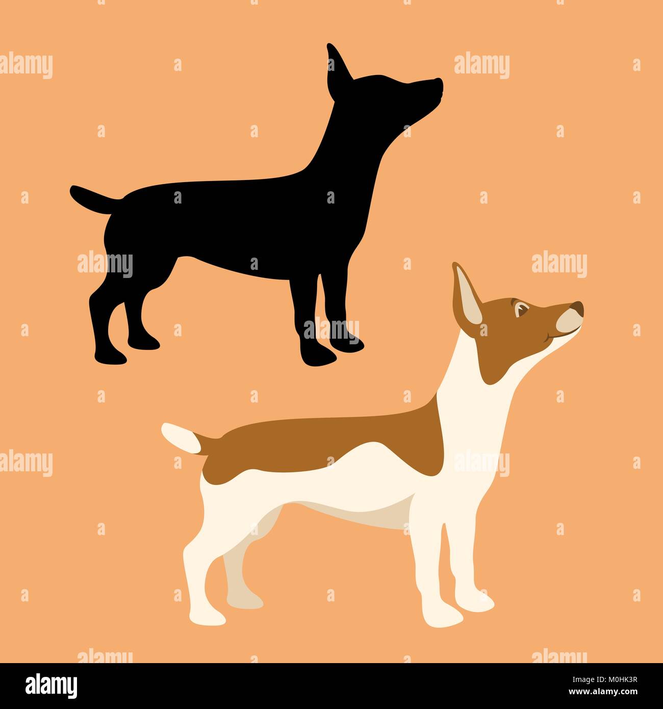 Jack russell terrier Stock Vector Images - Alamy