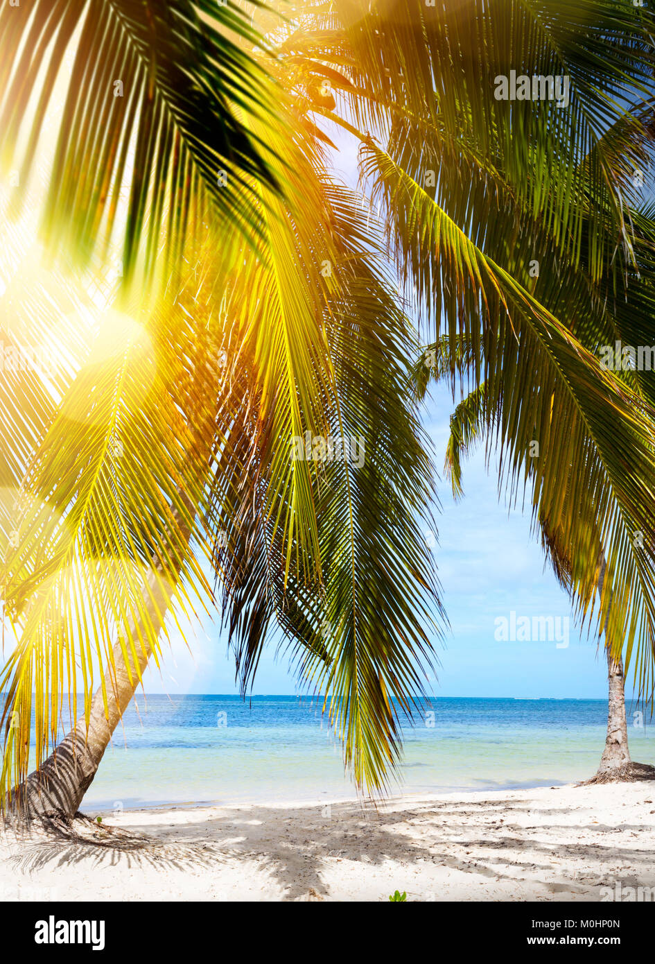 art Peaceful vacation background; Summer tropical Beach Stock Photo - Alamy