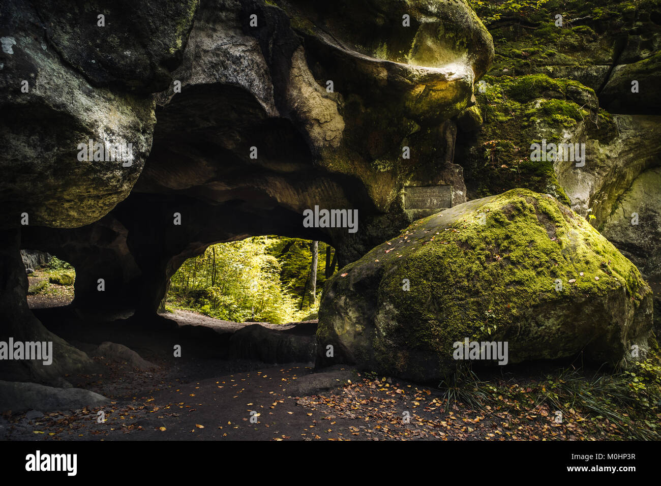 Hohllay Cave in the forest of Berdorf in Luxembourg Stock Photo - Alamy