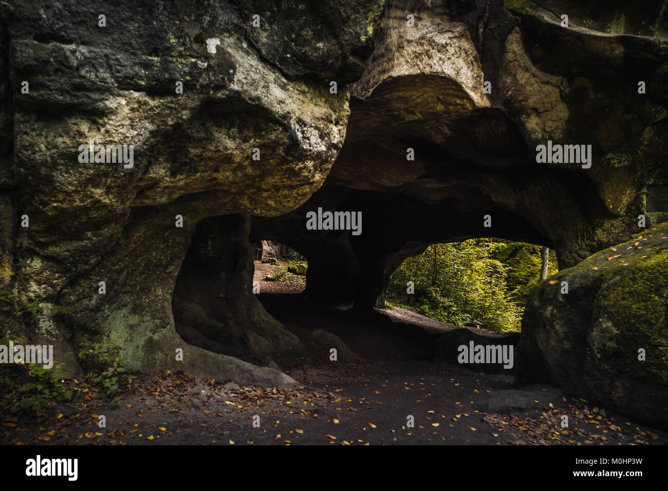 Hohllay Cave in the forest of Berdorf in Luxembourg Stock Photo - Alamy