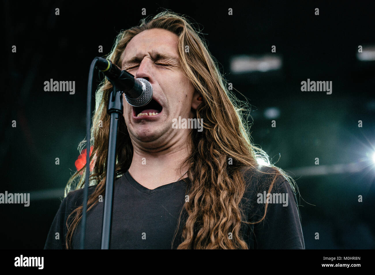 Casper roland popp hi-res stock photography and images - Alamy