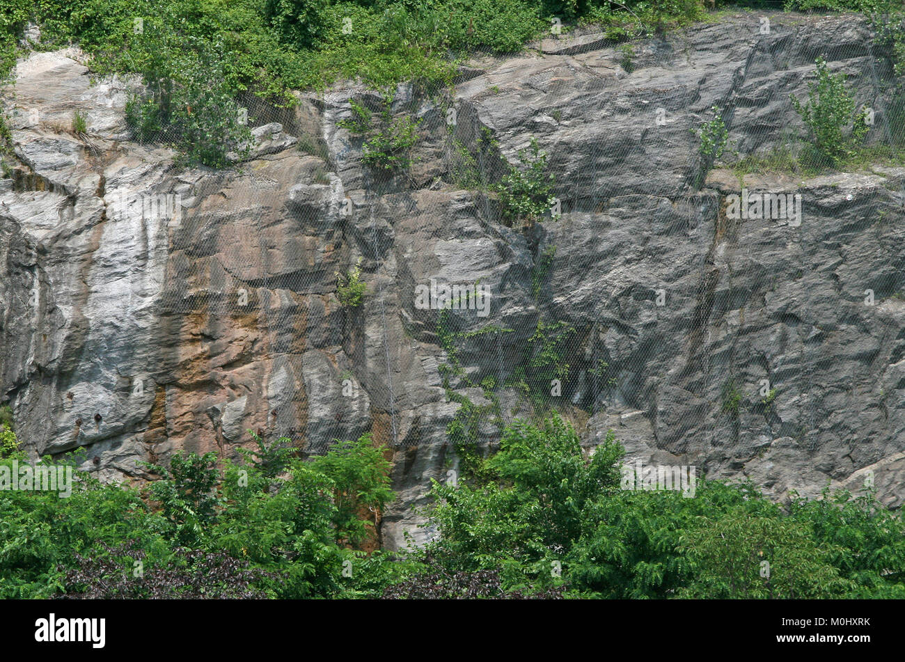 Rock slope covered with mesh surrounded by plants and bushes along the Harlem River, Harlem, Upper Manhattan, New York City, New York State, USA. Stock Photo
