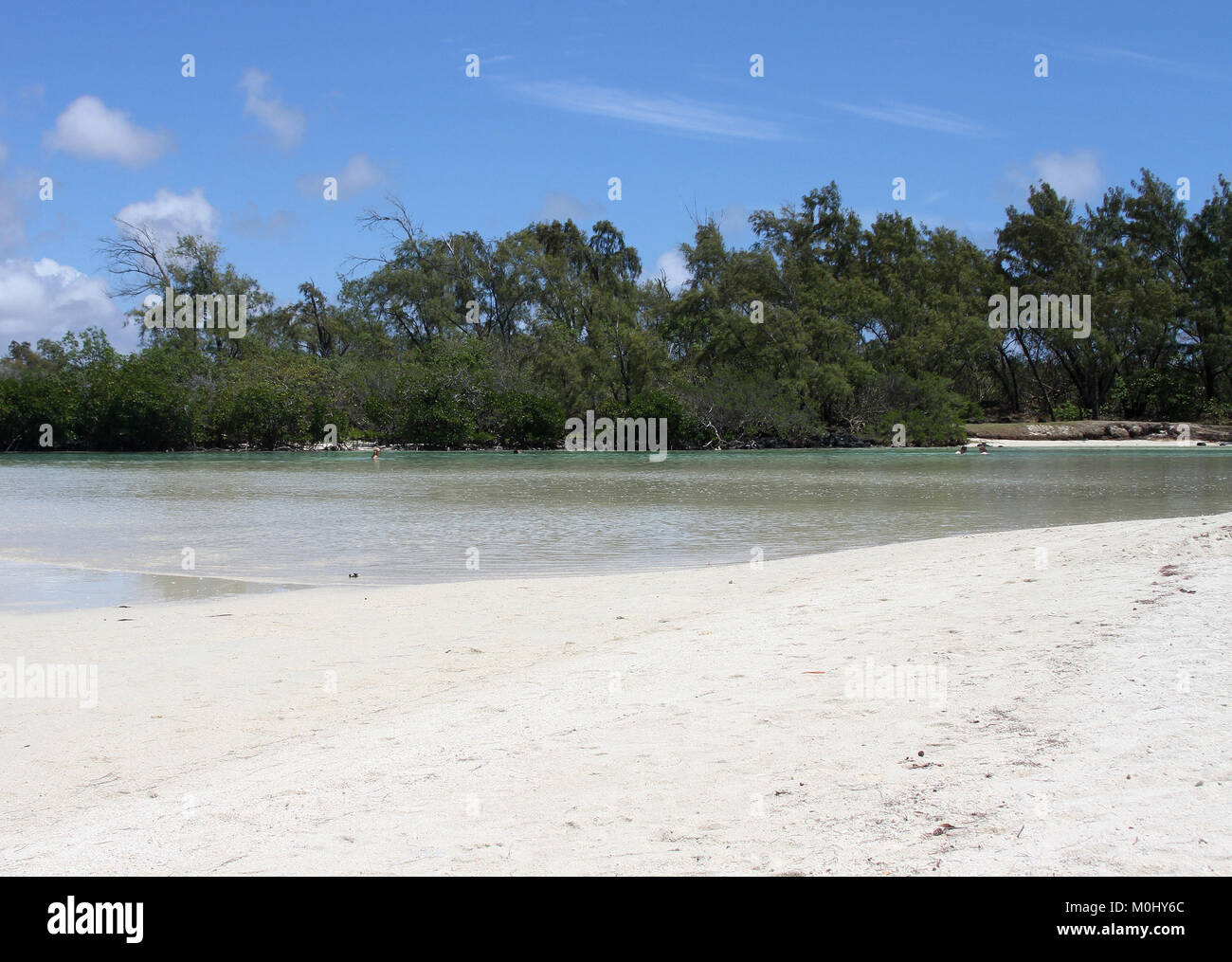 Beach and forest patch on The Ile Aux Cerfs, a privately owned island near the east coast of The Republic of Mauritius in the Flacq District. Stock Photo