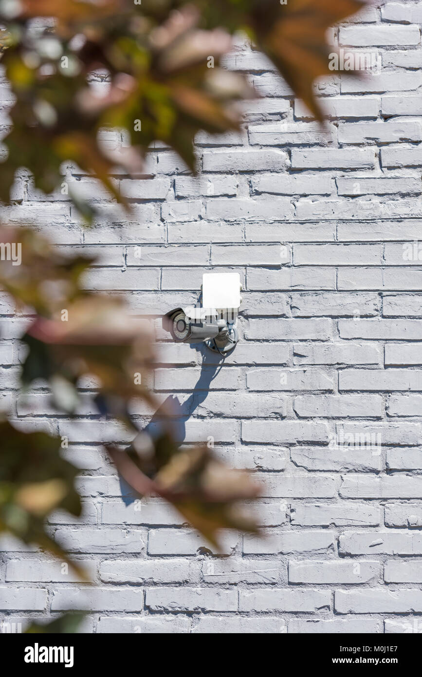 one security camera on grey brick wall, security system concept Stock