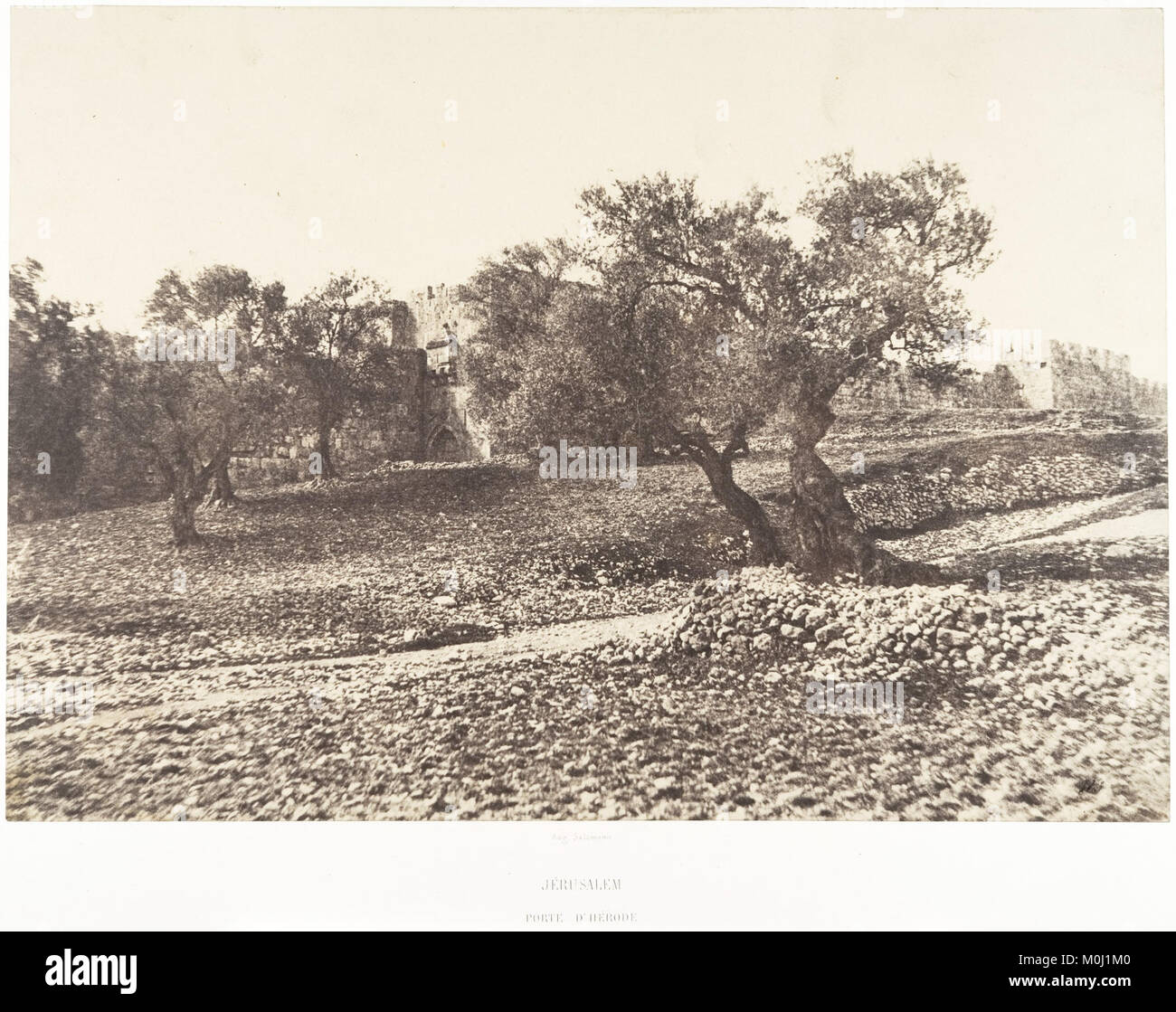Jerusalem herod's gate hi-res stock photography and images - Alamy
