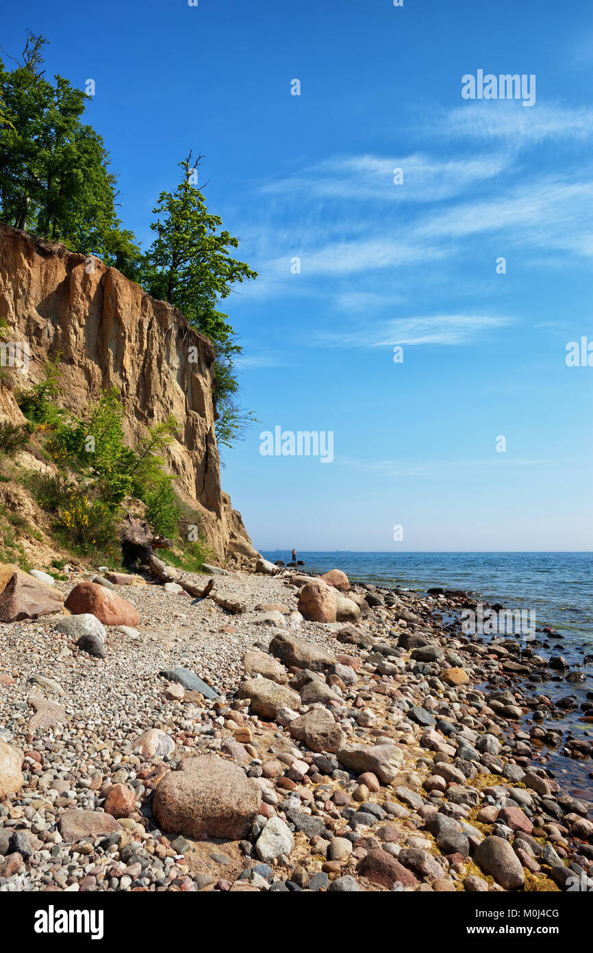 Orlowo Cliff in Gdynia, shore of the southern Baltic Sea in Poland