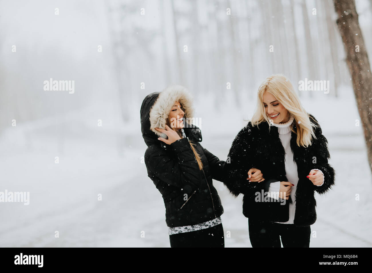 Portrait of two young women in a winter park Stock Photo - Alamy