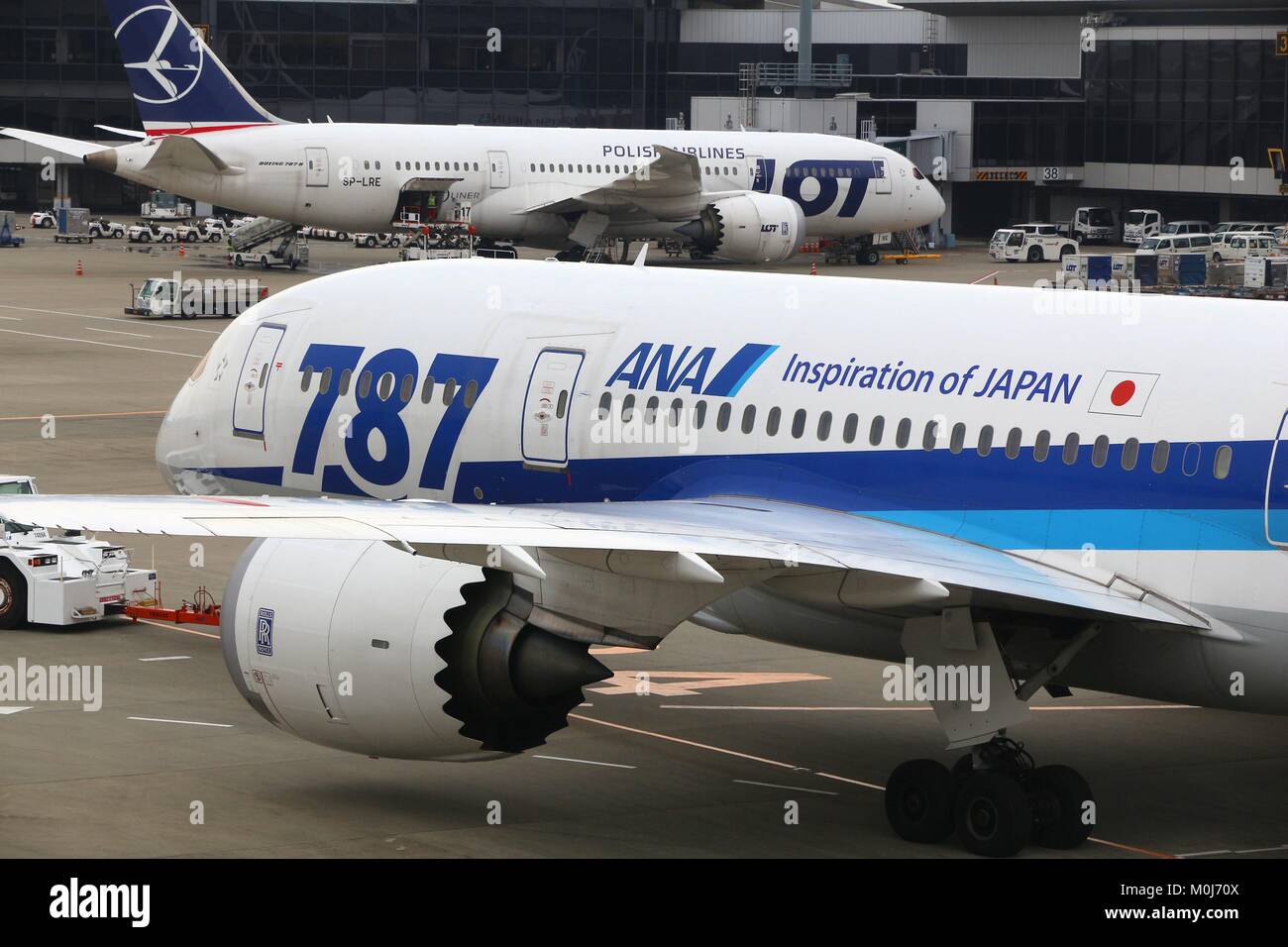 TOKYO, JAPAN - NOVEMBER 21, 2016: Boeing 787 Dreamliners at Narita Airport of Tokyo. The aircraft are operated by Air Nippon Airways (ANA) and LOT Pol Stock Photo