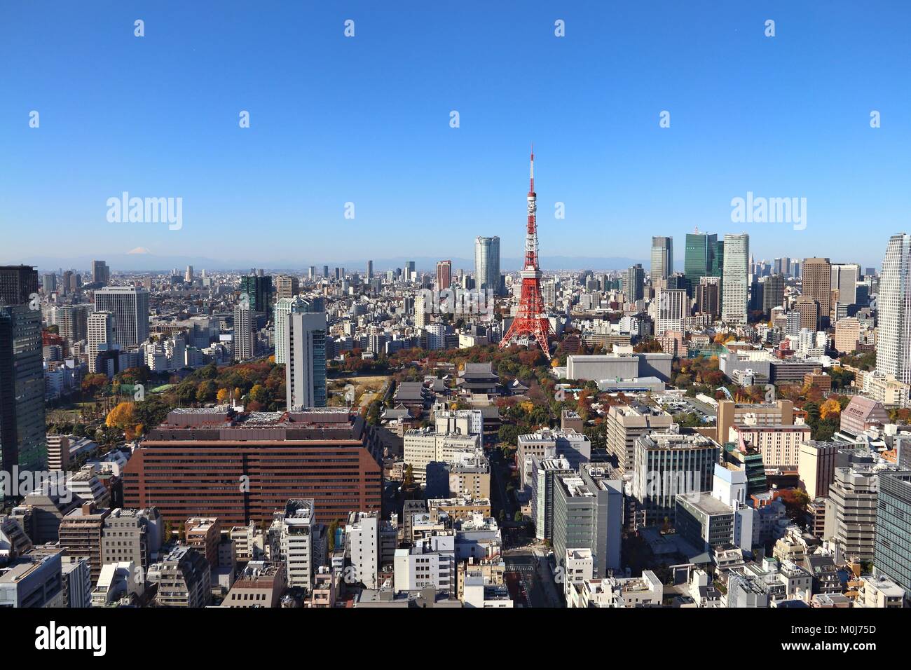 Tokyo city skyline - aerial view with Roppongi and Minato wards. Mount Fuji visible in far left background. Stock Photo