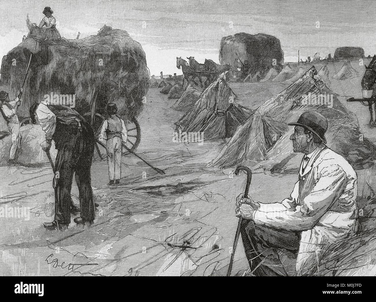 Farmer observing the farmers who work their lands. Engraving Stock Photo
