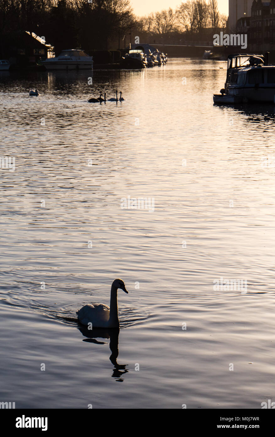 Sunrise River Thames, Reading, Berkshire, England. UK, GB. Stock Photo