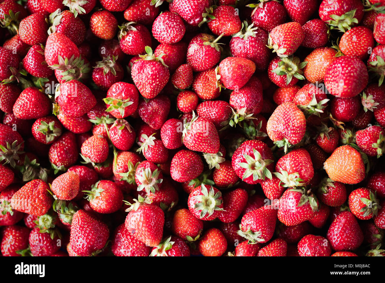 Close up organic fresh strawberries hi-res stock photography and images ...