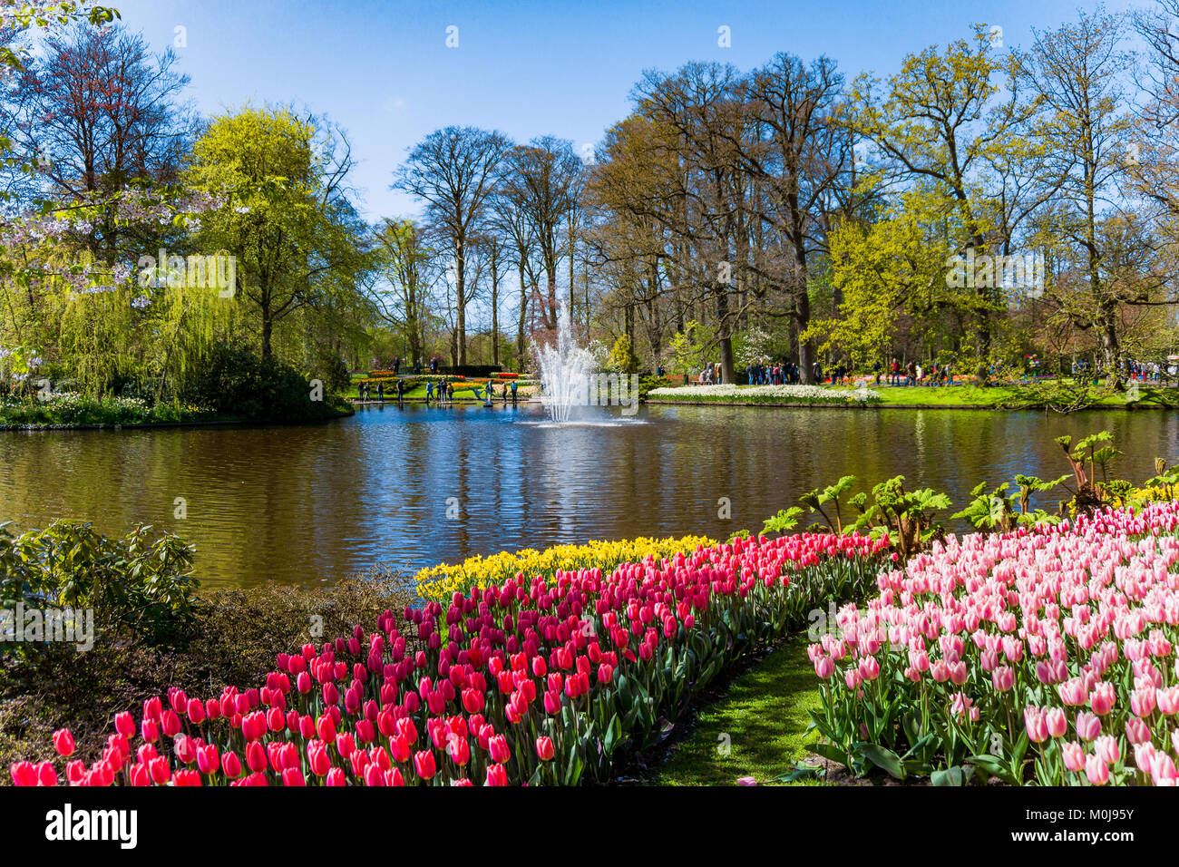 Keukenhof park in Netherlands Stock Photo - Alamy