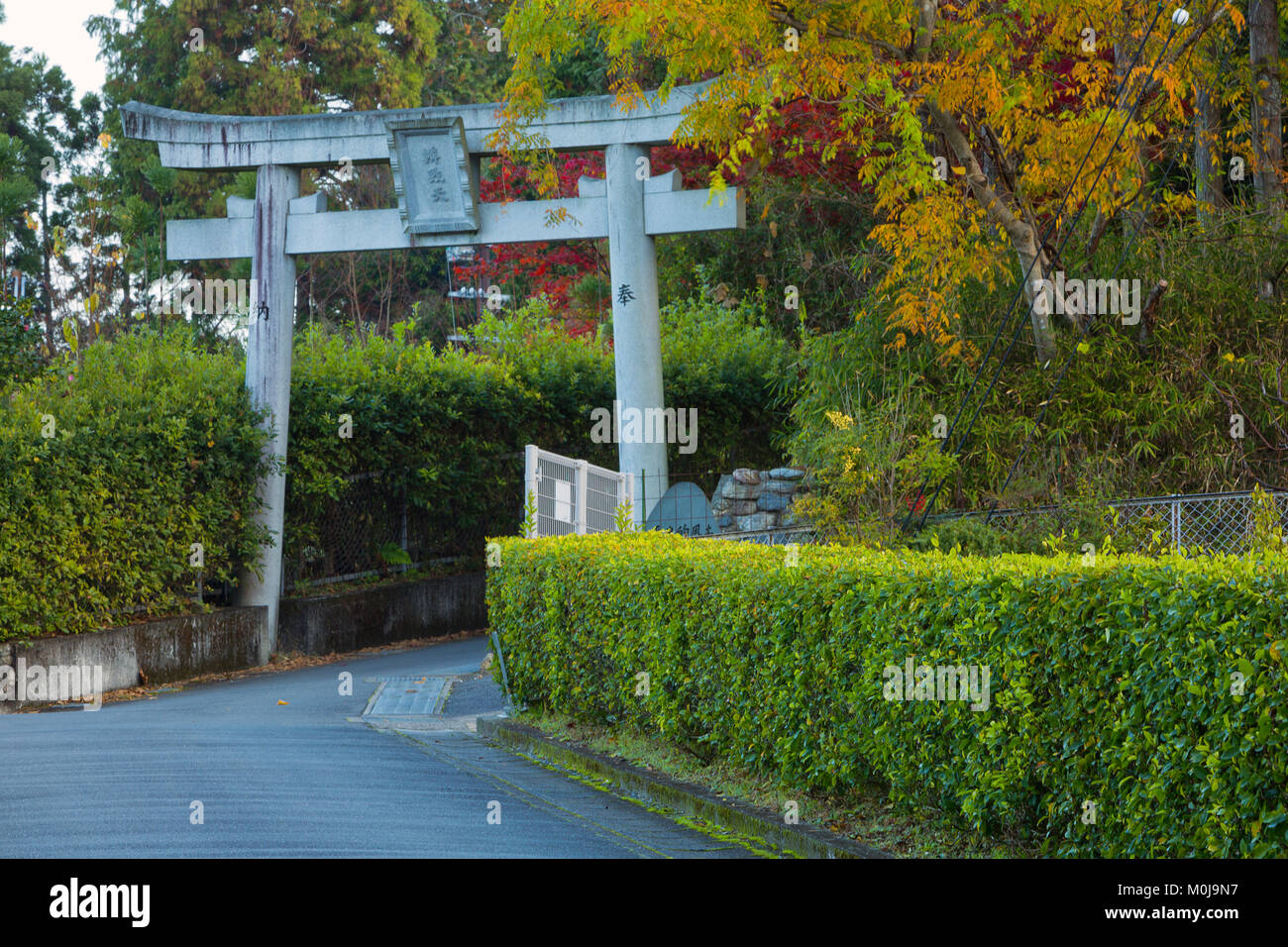 A torii gate along a road in Kyoto, Japan in the fall. Stock Photo