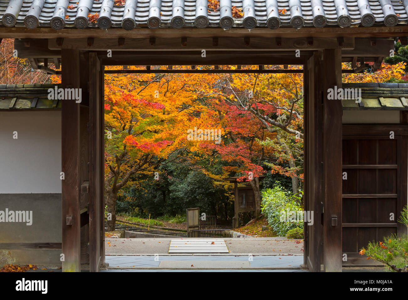 A gate above the area Nanzen-ji Temple area surrounded by fall color. Kyoto, Japan. Stock Photo